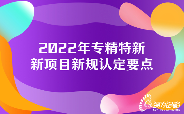 2022年專精特新新項目新規(guī)認定要點