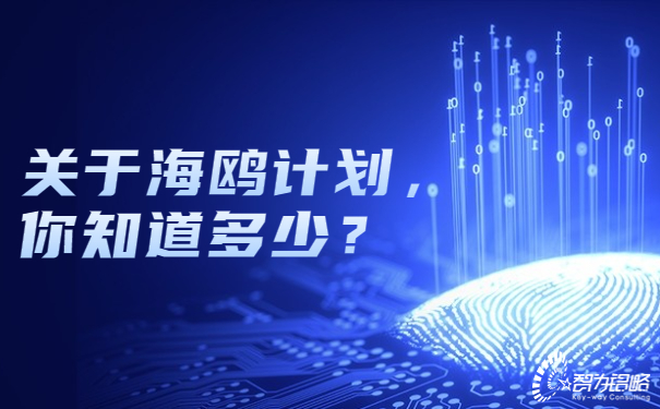 關于海鷗計劃，你知道多少？.jpg